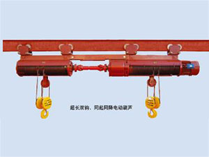 超長(zhǎng)雙鉤同起同降電動(dòng)葫蘆
